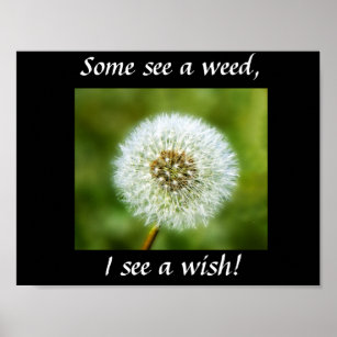 Dandelion Poster - Some see a weed, I see a wish!
