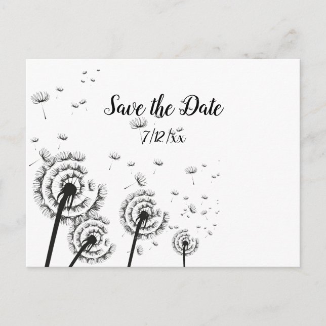 Dandelion Poufs Black and White  Save the Date Announcement Postcard (Front)
