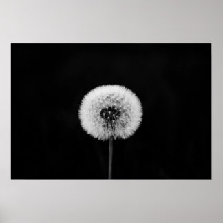 Dandelion Print