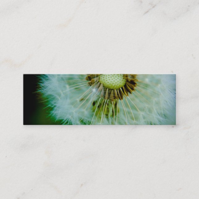 Dandelion Profile Card (Front)