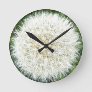 Dandelion puff round clock