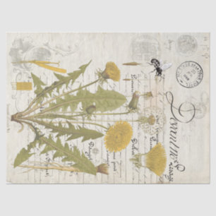 Dandelion Script Decoupage Tissue Sheets Paper