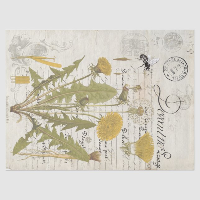 Dandelion Script Decoupage Tissue Sheets Paper (Front)