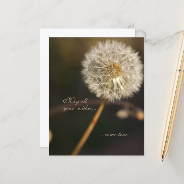 Dandelion Seed Head in Brown Tones   (Front/Back In Situ)