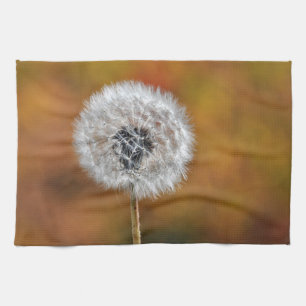 Dandelion seed head in fall kitchen towel