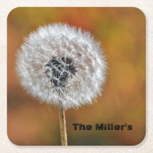 Dandelion Seed Head w/ Customizable Text Square Paper Coaster