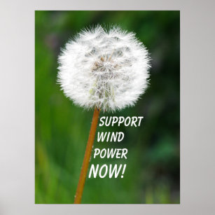 Dandelion Seed Head Wind Power Poster