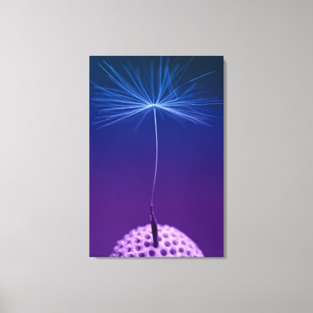 Dandelion Seed Macro Photo On Canvas (Front)