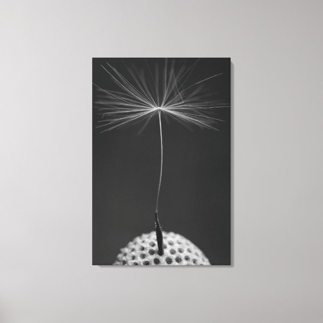 Dandelion Seed Photo on Canvas Print (Front)