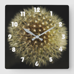 Dandelion Seedhead White Fat Numbers wccn Square Wall Clock