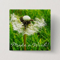 Dandelion Seeds