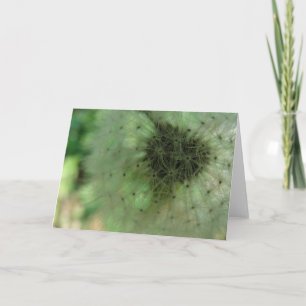Dandelion Seeds Card