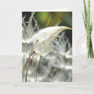 Dandelion Seeds Embrace, Stories in Nature Poetry Card