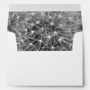 Dandelion Seeds Envelopes