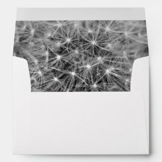 Dandelion Seeds Envelopes