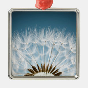 Dandelion Seeds Metal Ornament