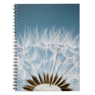 Dandelion Seeds Notebook