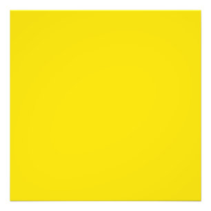 Dandelion (solid colour) photo print