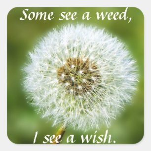 Dandelion Sticker - Some See a Weed I see a wish
