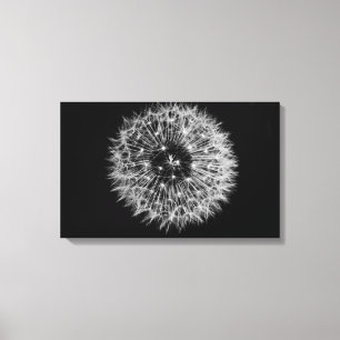 Dandelion Stretched Canvas Print