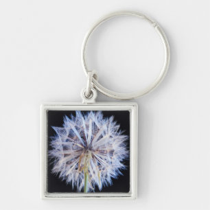 Dandelion (Taraxacum Officinale) Seed Head Keychain