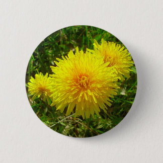 Dandelion Trio 2 Inch Round Button