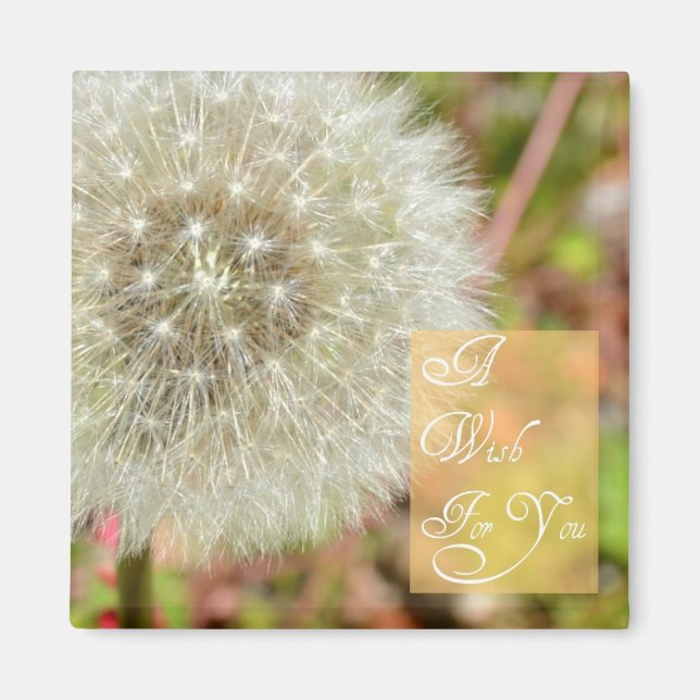 Dandelion - Un voeu pour vous Magnet (Devant)