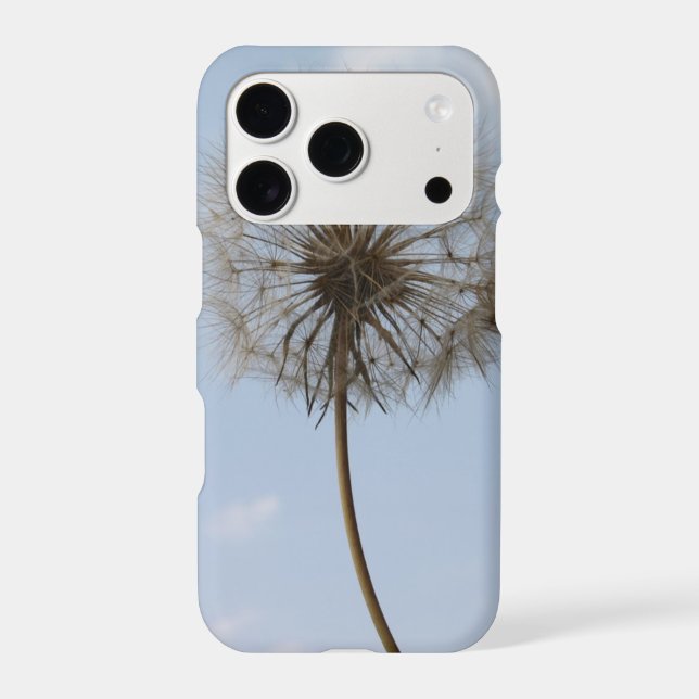 Dandelion Under the Spring sky (Back)