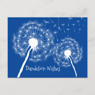 Dandelion veut carte postale design