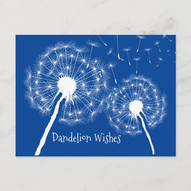 Dandelion veut carte postale design (Devant)