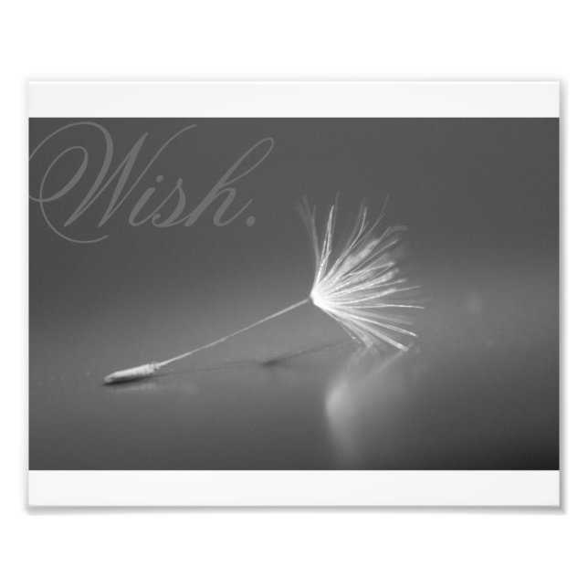Dandelion Wish Photo Print (Front)