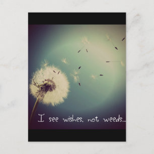 Dandelion Wishes Postcard