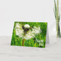 Dandelion Wishes - Thank You for being my wish