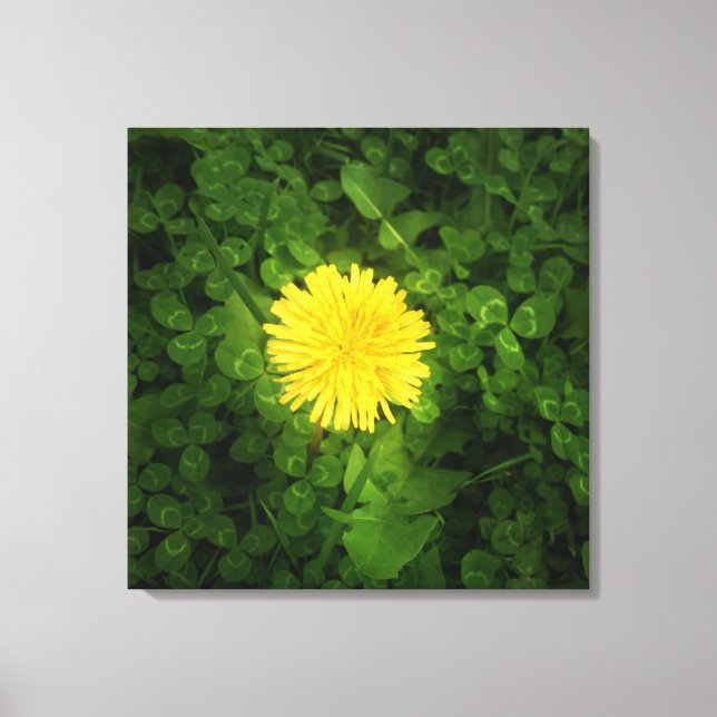 Dandelion Wrapped Canvas (Front)