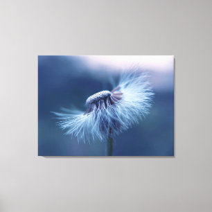 Dandelion Wrapped Canvas Art