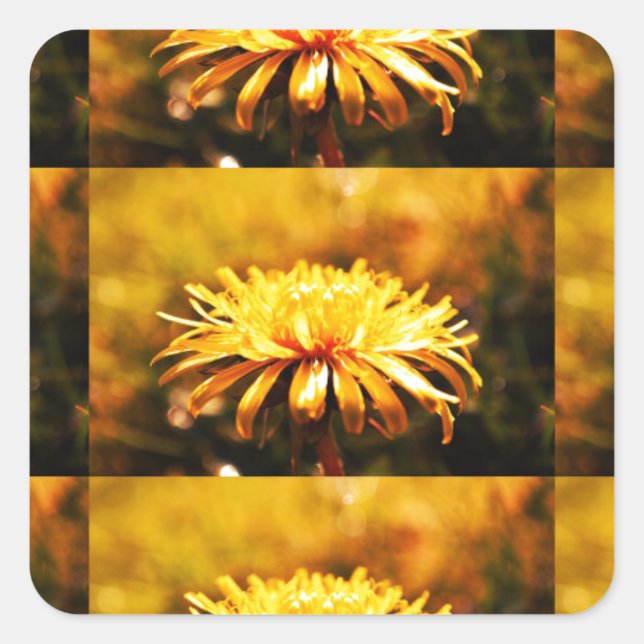 Dandelion Yellow Blossoms Flowers Vines Spring Square Sticker (Front)