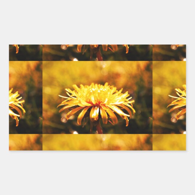 Dandelion Yellow Blossoms Flowers Vines Spring Sticker (Front)