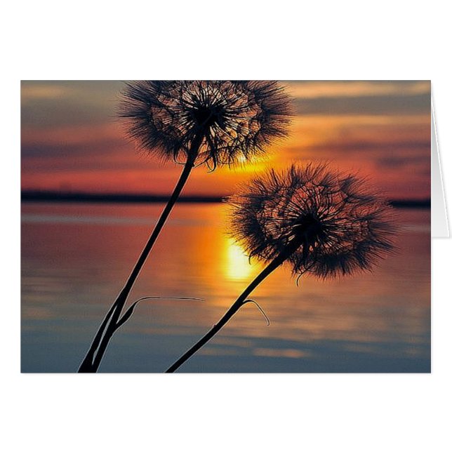 Dandelions (Front Horizontal)