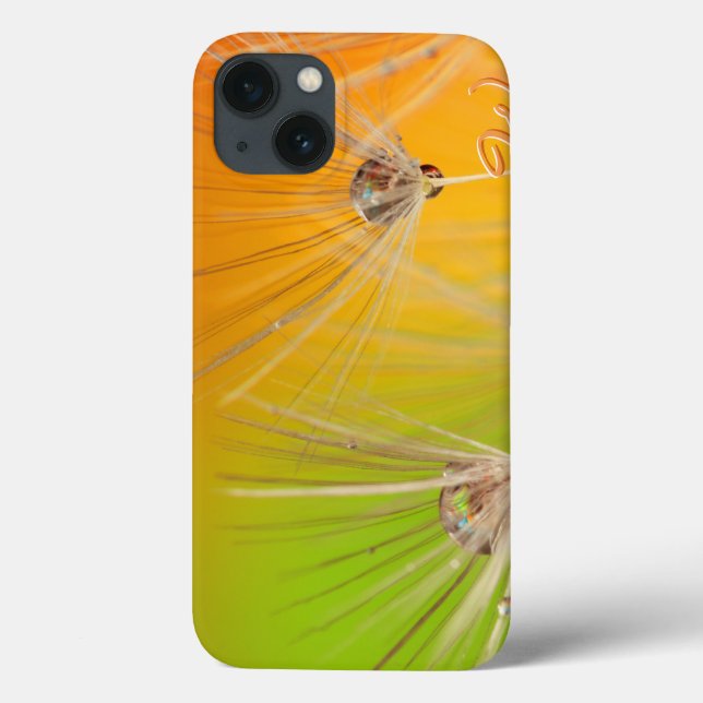 Dandelions 2 Case-Mate iPhone case (Back)