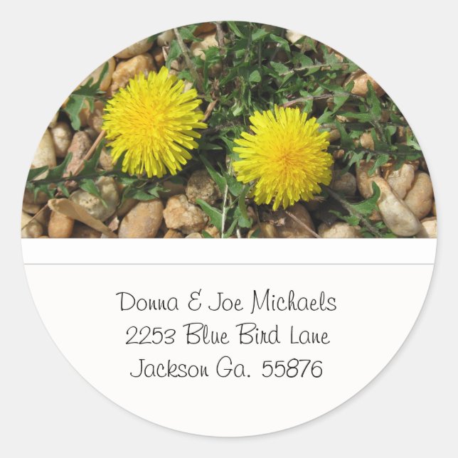 Dandelions Address Stickers (Front)