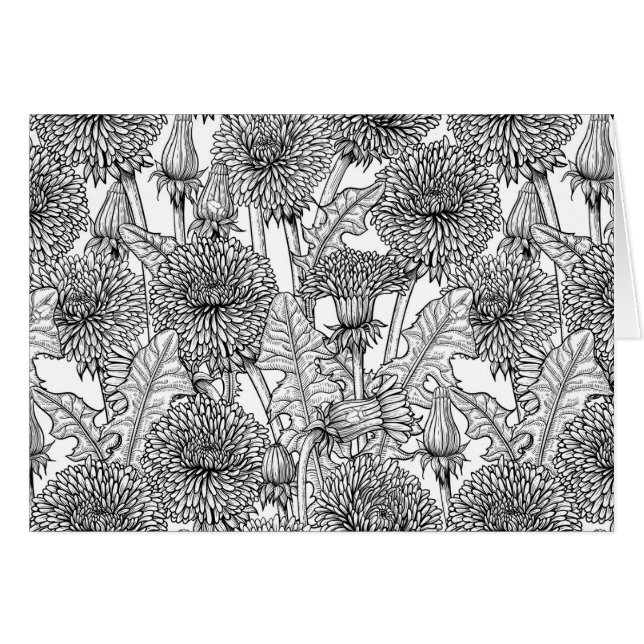 Dandelions, black and white (Front Horizontal)