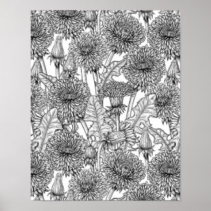 Dandelions, black and white poster