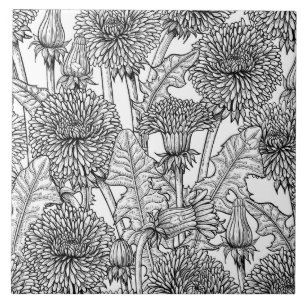 Dandelions, black and white tile