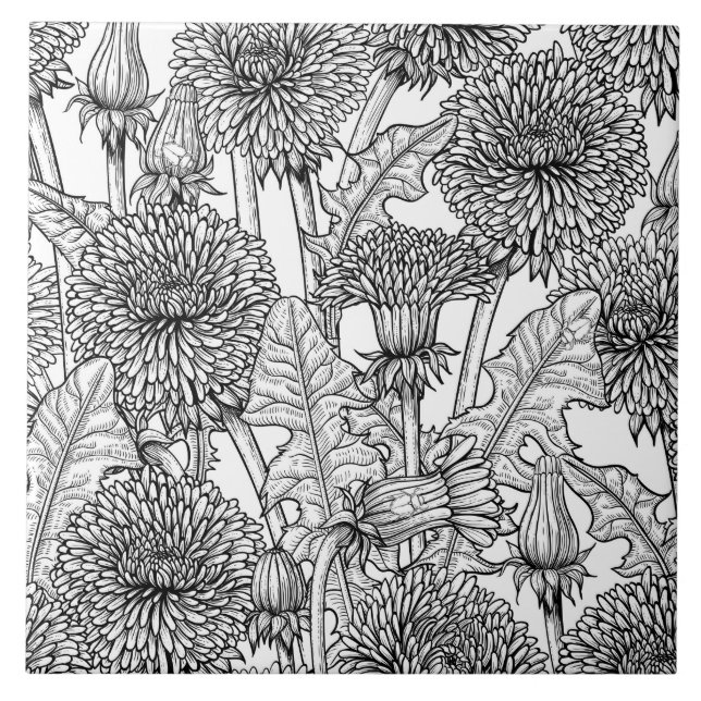 Dandelions, black and white tile (Front)