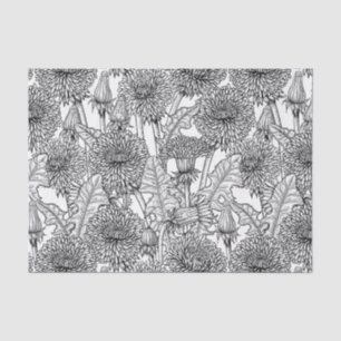 Dandelions, black and white tissue paper