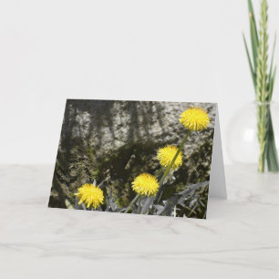 Dandelions, card