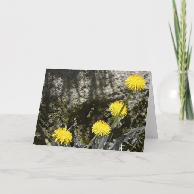 Dandelions, card (Front)