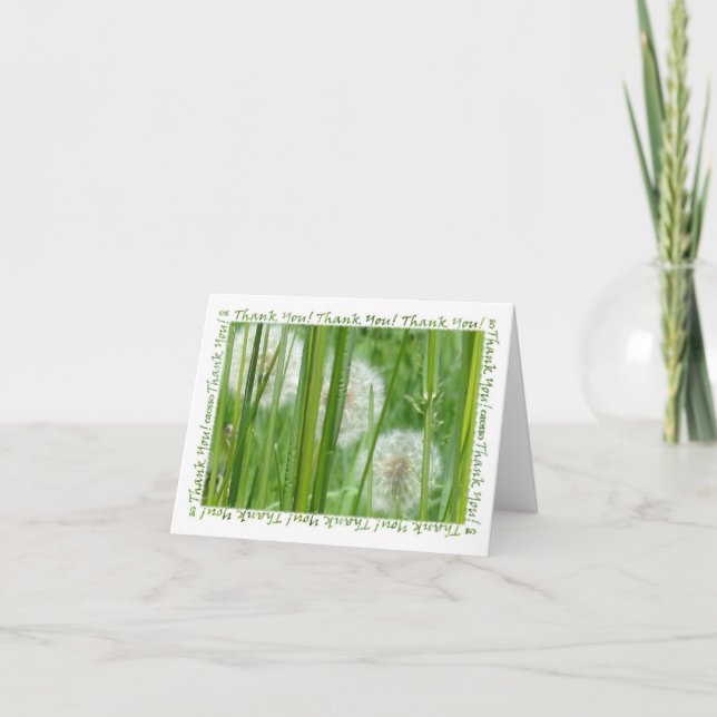 Dandelions dans le Merci vert de l'herbe (Devant)