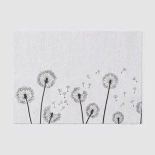 Dandelions Flowers Pappus Spores Grey Tissue Paper