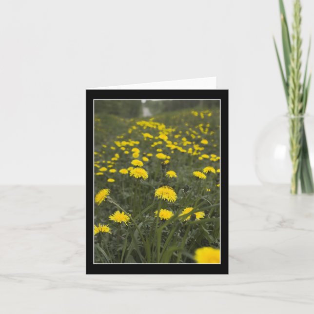Dandelions in Minnesota Thank You Card (Front)